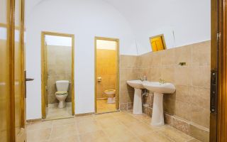 Sub mantia arhitecturala istorica a Cetatii Timisoarei, Spatiu comercial - Poză 13