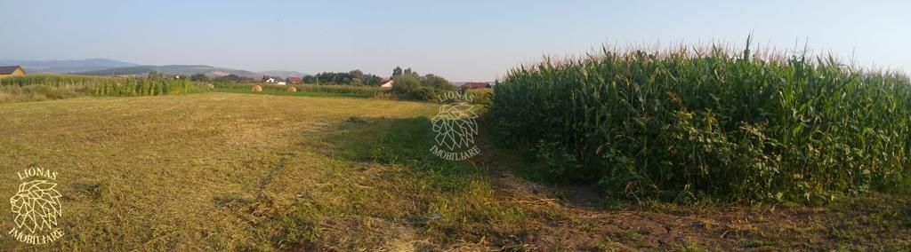 Teren 5500 mp-oportunitate investitie-pretabil cabana-Jelna - Poză 4