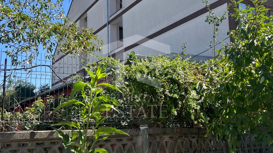 Teren str Renasterii Chitila - Poză 4