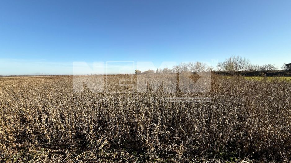 TEREN EXTRAVILAN | 35 ARI | HORODNIC DE JOS | - Poză 1