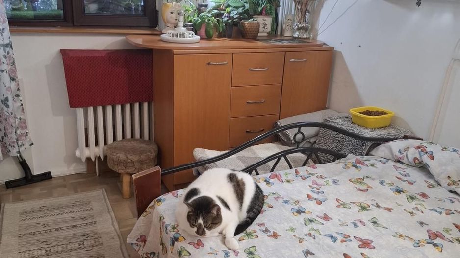 Apartament cu trei camere, Brancoveanu-Luica, 93.0000€ negociabil - Poză 5