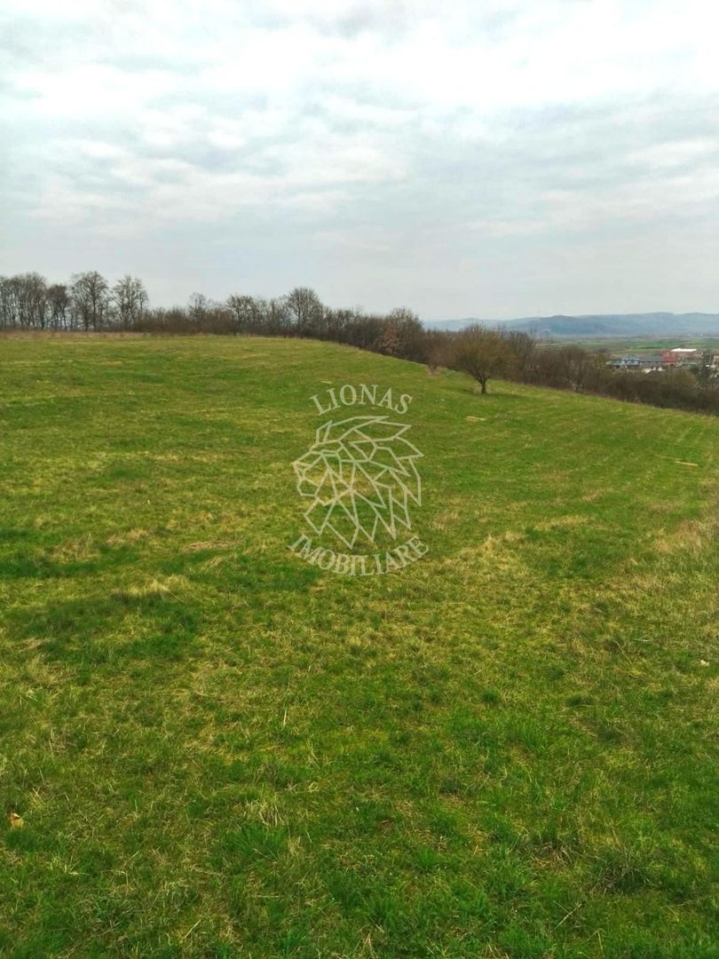 4 Loturi diferite-ideal cabane/investitii-Beclean 1 km de Baile Figa - Poză 3