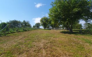 Casă spațioasă de vânzare în comuna Roșia .COMISION 0% - Poză 3