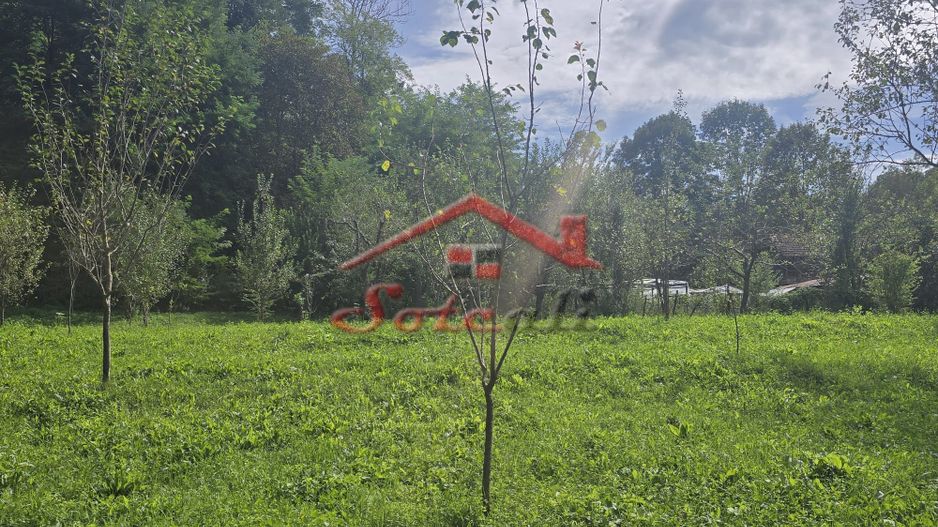 Oportunitate de investiție în Breaza – teren intravilan de 3.591 mp - Poză 7