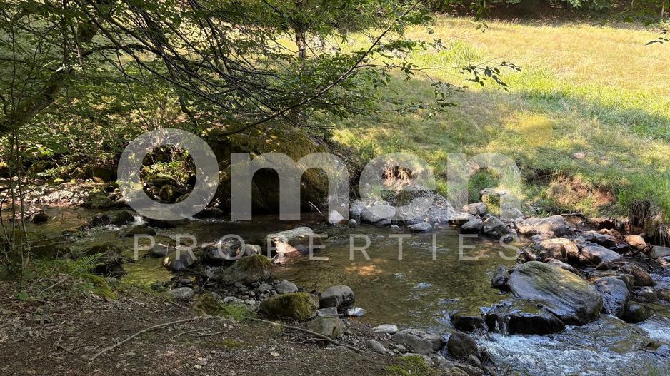 Teren extravilan de vânzare | 1402 mp | Blidari | zonă superbă - Poză 6