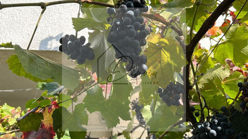 Vila de vanzare in Tunari I Gata de mutat I 4 camere I 5 parcari - Poză 53