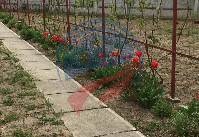 Casa de vanzare/Balcesti/Valcea/Str Pietii - Poză 21