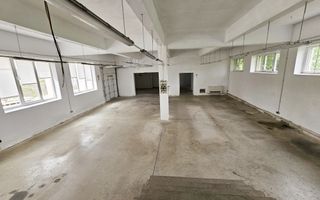 Spatiu industrial pentru productie sau depozitare, 1600 mp, Sebes - Poză 12