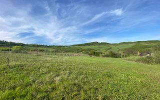 Teren 2160 mp - pretabil pentru cabana - investitie - Jelna - Poză 6