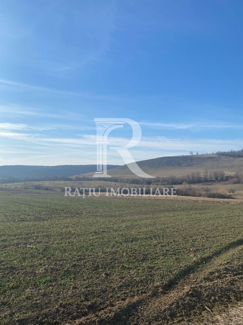 Teren extravilan de vanzare 3.900mp | Mierlau | Bihor - Poză 3