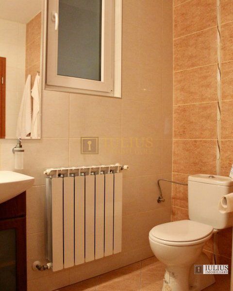 Casa de inchiriat in zona Lipovei - Pomiculturii. Curte comuna, ctr. Anaf. - Poză 17