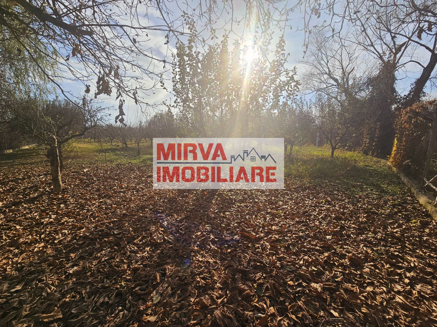 🏡 Casă spațioasă cu 4 camere + teren 4344 mp, Gorgota – EXCLUSIV! - Poză 14