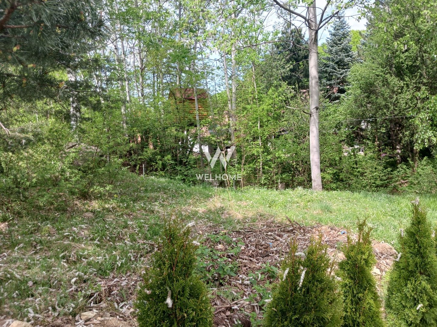 Teren Extravilan situat la intersectia DN1 cu Transfagarasan - Poză 6