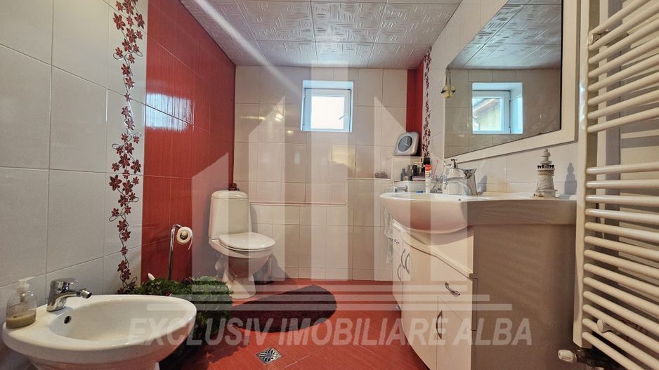 Casa individuala de vanzare, Cetate - Poză 13