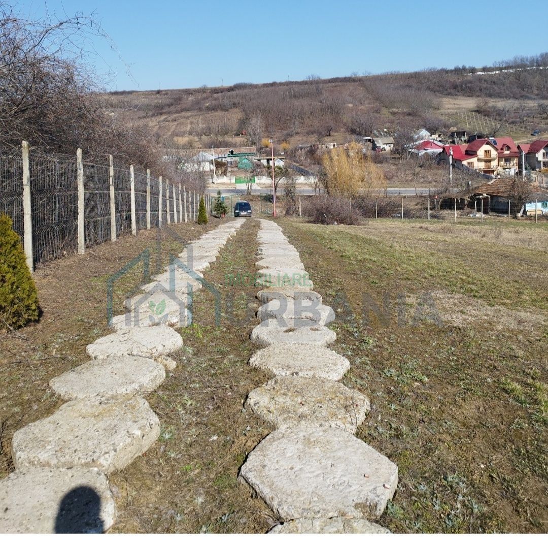 Teren intravilan și extravilan în Răducăneni, jud. Iași, zona Dealul Doi Lei - Poză 6