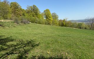 Terenuri Bran - Predelut  Priveliște către Bucegi și Postăvaru - Poză 2