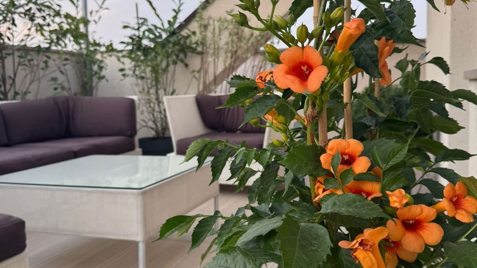 De vanzare Penthouse spectaculos Apartament 3 camere, Timpuri Noi - Poză 29