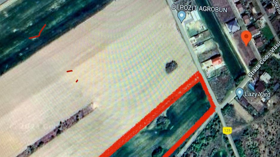 Teren de vanzare Domnesti-Teghes 16.400 mp Intravilan - Poză 1