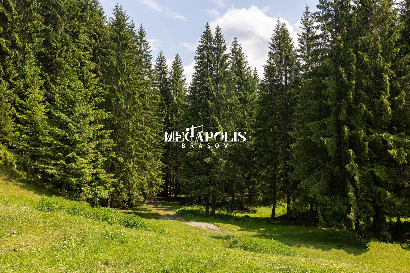 Pretabil Hotel,Pensiune,Case de Vacanta/Utilitati/PUZ - Poză 10