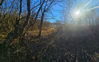 Teren intravilan 2.000 mp – Seciu, 2 deschideri, Priveliște panoramica - Poză 18