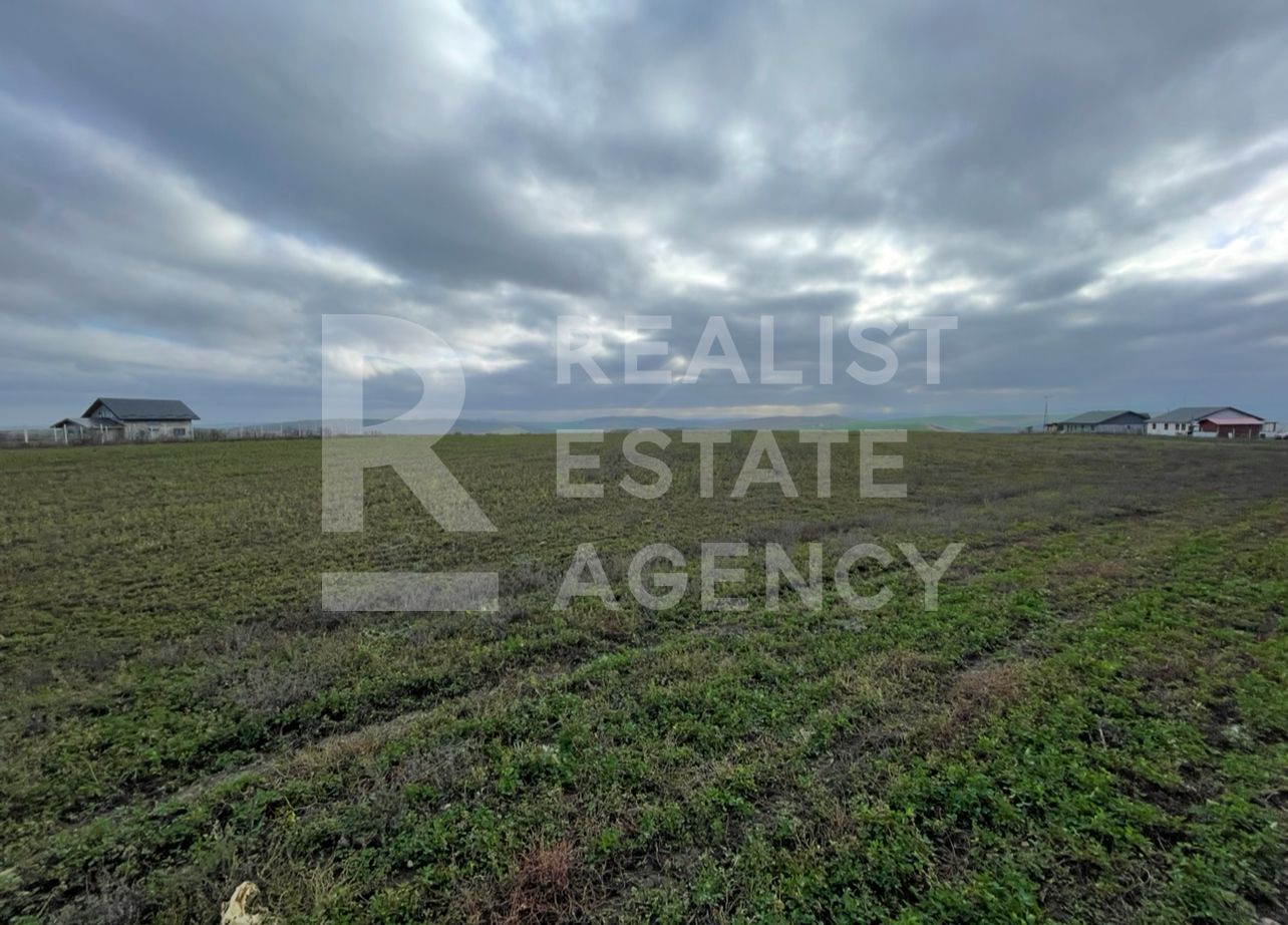 Teren 10.000 mp: 5.000 mp intravilan + 5.000 mp extravilan – Horlești - Poză 3