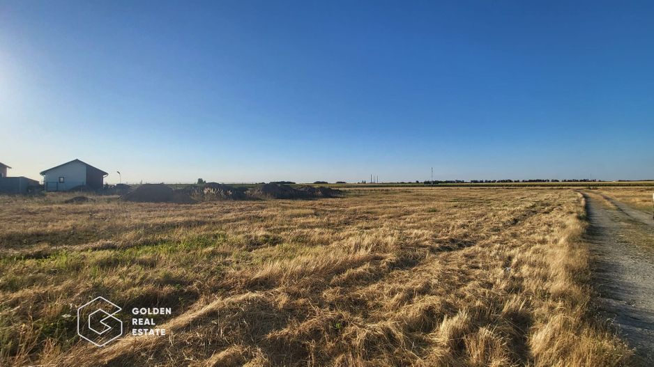 Terenuri  de vanzare in comuna Sag Timis - Poză 2