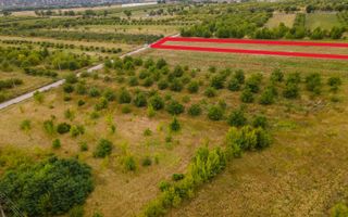 Vânzare, teren, 50 ari, str. Tineretului, Trușeni - Poză 4