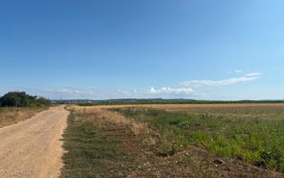Teren intravilant |  11.955 mp | Cihei - Poză 1