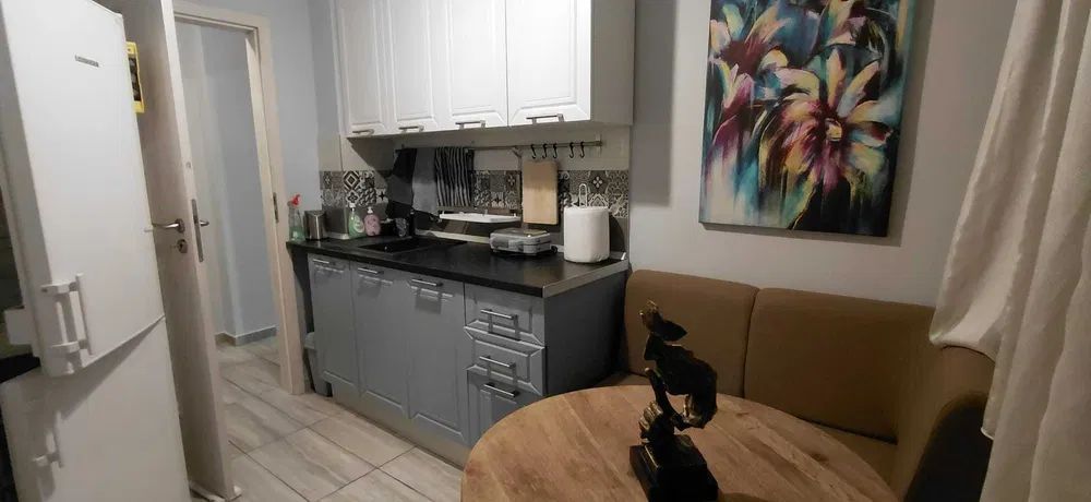 Apartament 3 camere langa Parcul Circului - Poză 4