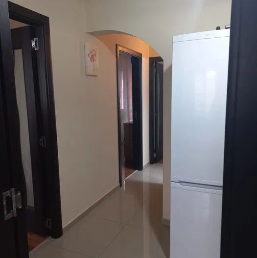 Apartament modern si cochet, 3 camere Raul Doamnei - Poză 4