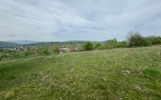 TEREN INTRAVILAN, 7472 MP, VALEA MARE PRAVAT, ARGES - Poză 12