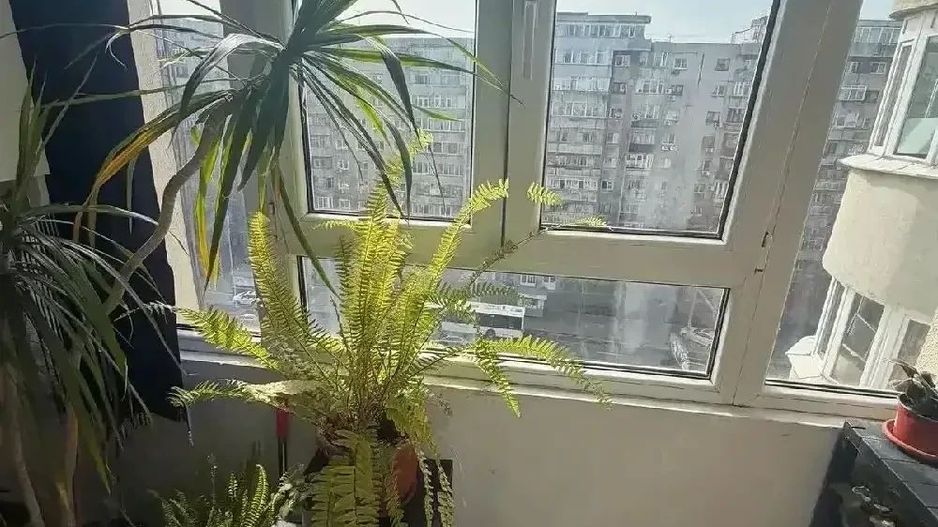 Apartament 3 camere Crângași BCR - Poză 6