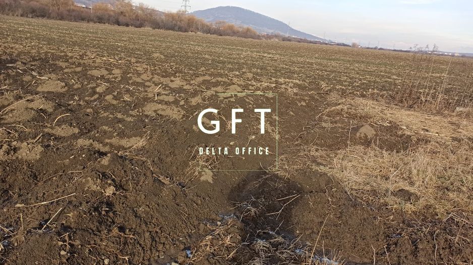 Teren 2906 mp - ideal investitie - Sarata - Poză 2