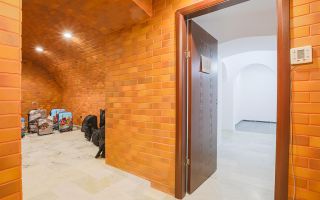 Sub mantia arhitecturala istorica a Cetatii Timisoarei, Spatiu comercial - Poză 37