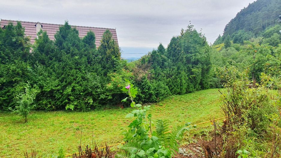 Schei gradina +casa de vacanta,  intre case,front pe trei parti - Poză 3