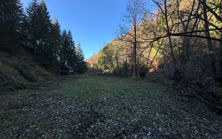 Teren 2.882 mp – oportunitate investitie - Cheile Dâmbovicioarei - Poză 5