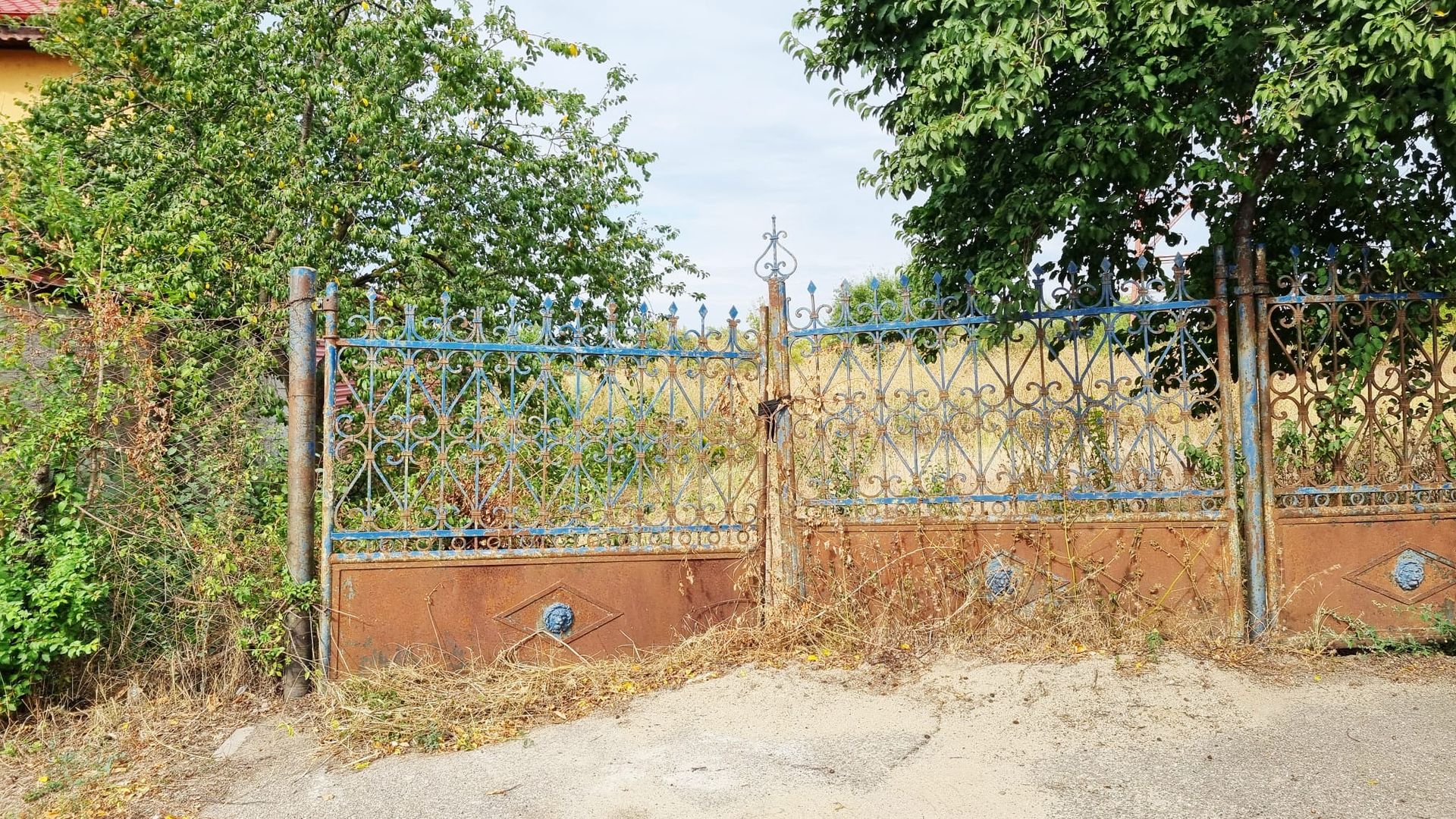 Teren 2,612mp Balotesti / Strada I. C. Bratianu - Poză 5