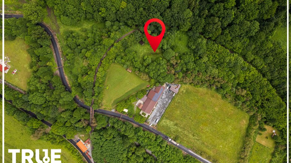 Teren intravilan 2.800 m² în Câmpu Cetății – liniște și natură - Poză 4