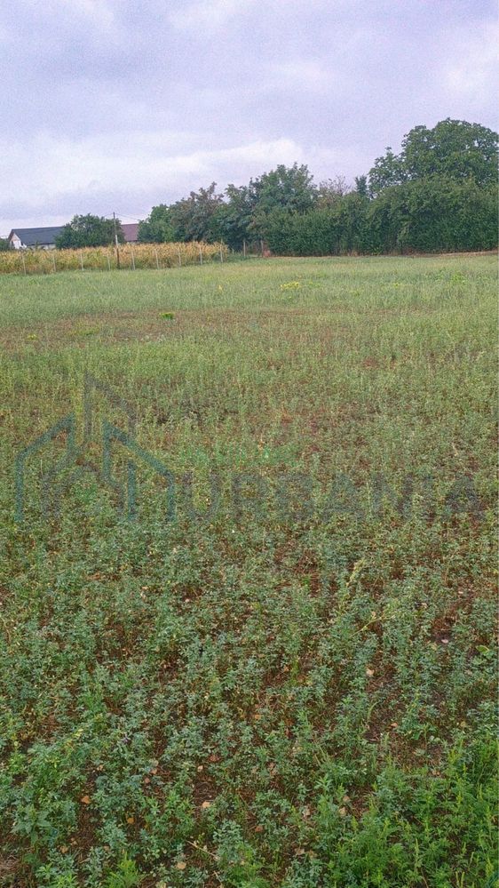 Teren intravilan 3000 mp, Ursoaia, acces asfaltat, utilitati disponibile - Poză 1