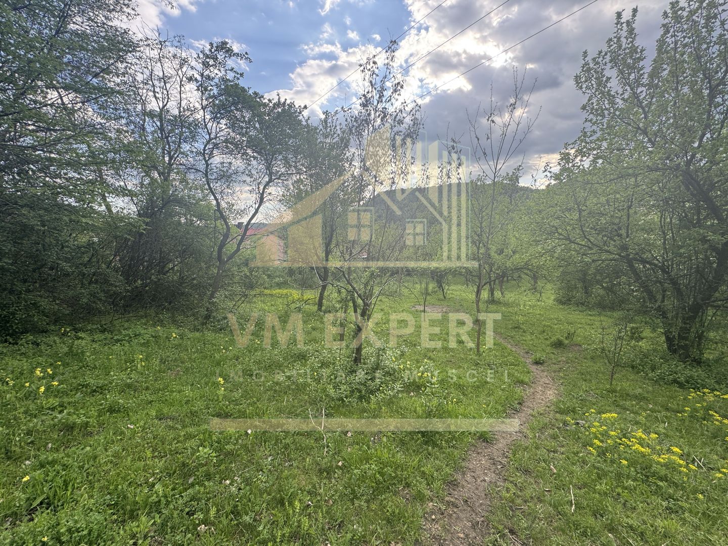 TEREN INTRAVILAN 7018 MP CAMPULUNG - Poză 13