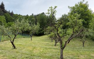 Casă rustică de vânzare în Tilișca, (Marginimea Sibiului) - Poză 24