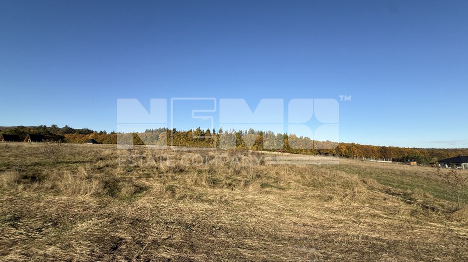 Teren intravilan | Horodnic de Sus – zona Tecioara | 2.900 mp - Poză 3