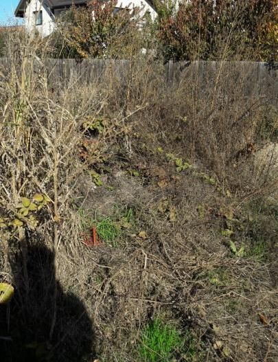 Ideal Complex Vile sau Duplexuri. - Poză 2