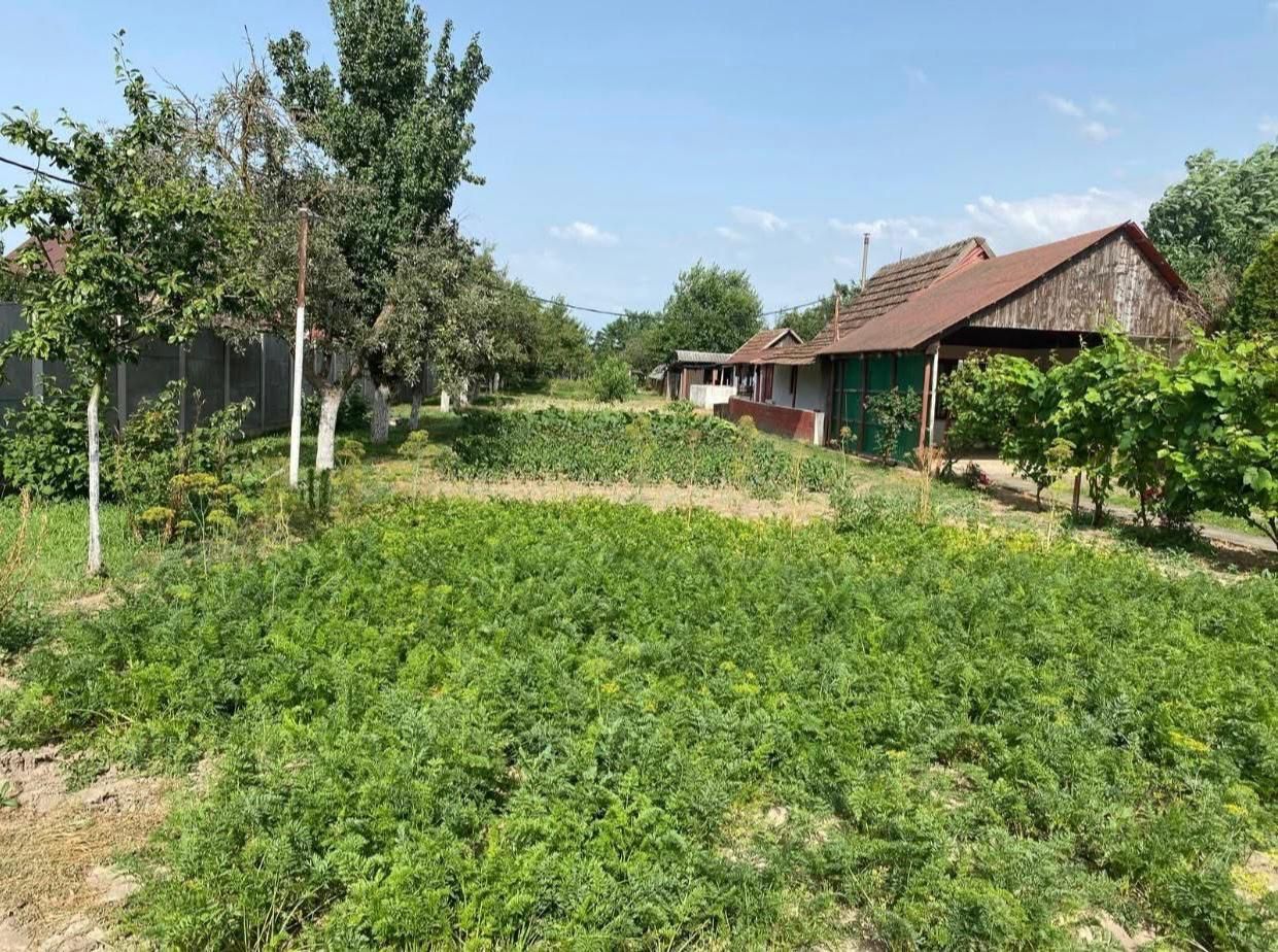 TEREN GENEROS 2000 MP - Poză 1