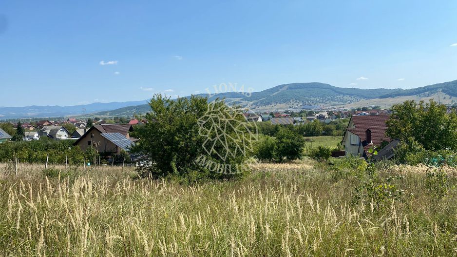 Teren intravilan 1300 mp-parcelabil-Viile cu Pomi-Unirea-Exclusiv - Poză 7