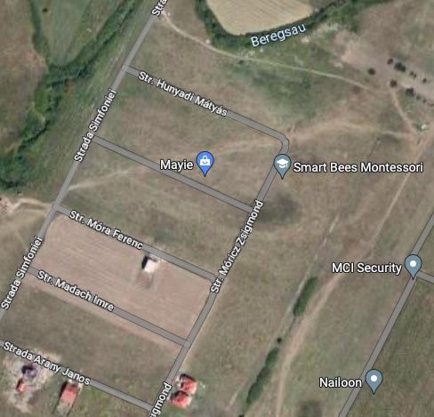 TEREN DUMBRAVITA 659 MP - Poză 2