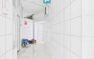 Ioșia: două spații vitrate, unire posibilă - Poză 11