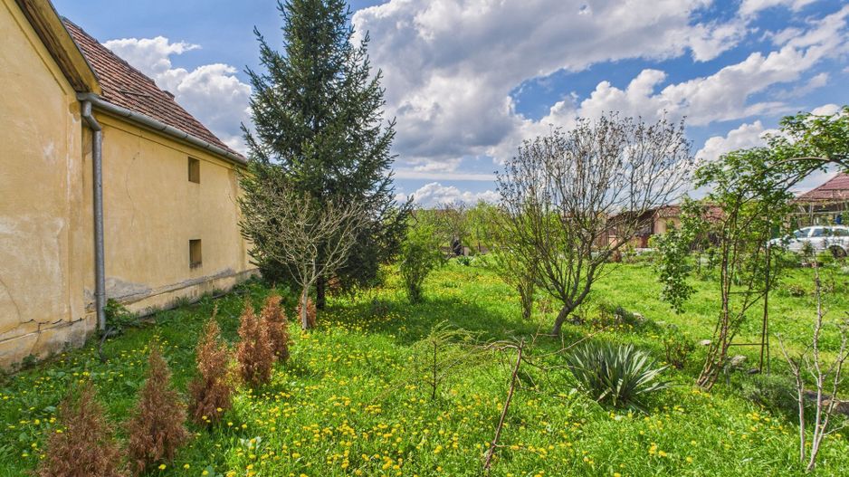Casă individuală la Beregsău Mare, 2890 mp teren - Poză 28