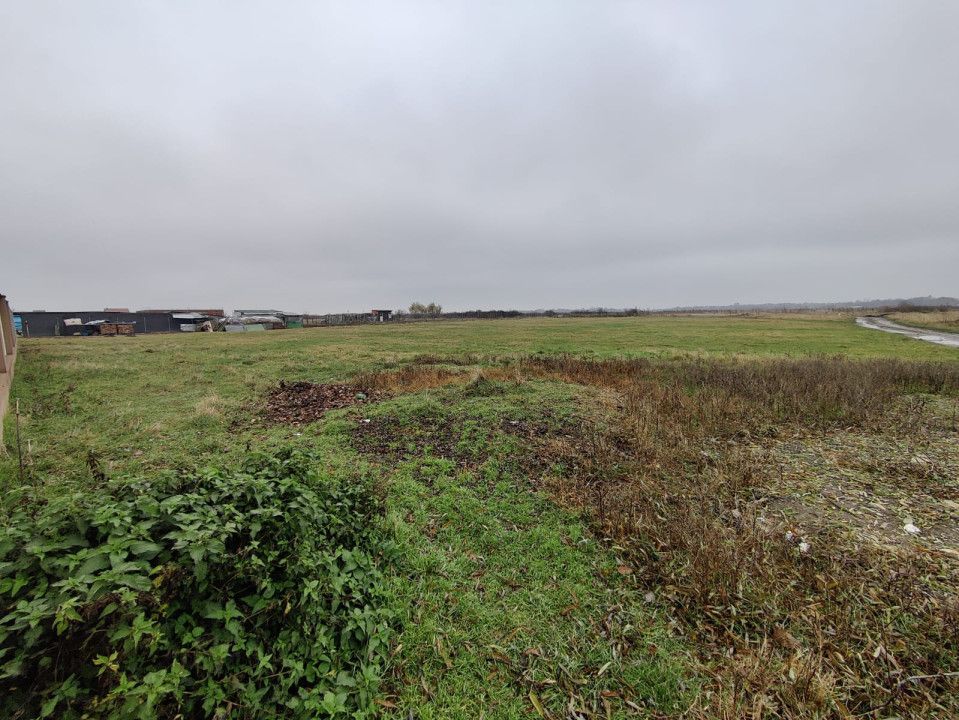 Teren 4588 mp, Remetea Mare Comision 0% - Poză 5