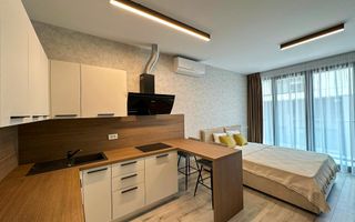 Inchiriere studio Herastrau l Parcul Herastrau - Poză 4